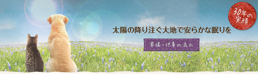 太陽の降り注ぐ大地で安らかな眠りを